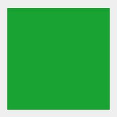 Peinture à la gouache
 Talens Extra Fine Peinture gouache Light Green 50 ml 1 pc - 1