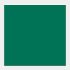 Peinture à la gouache
 Talens Extra Fine Peinture gouache Viridian 50 ml 1 pc - 1