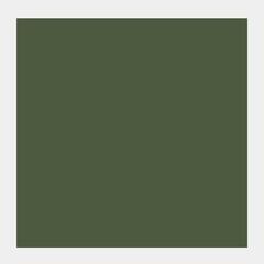 Peinture à la gouache
 Talens Extra Fine Peinture gouache Olive Green 50 ml 1 pc - 1