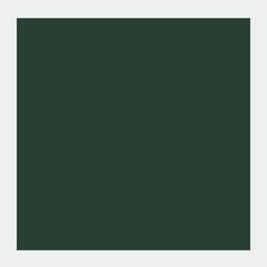 Pittura a guazzo
 Talens Extra Fine Vernice a guazzo Fir Green 50 ml 1 pz - 1