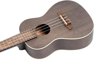 Concert Ukulele Ortega RUCOAL-L Coal Black Concert Ukulele - 4