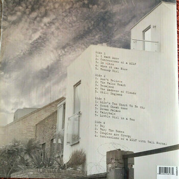 Δίσκος LP Viv Albertine - The Vermillion Border (2 LP) - 2