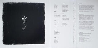 Hanglemez Wardruna - Runaljod - Gap Var Ginnunga (White Marble Coloured) (2 LP) - 7