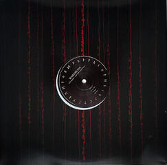 Hanglemez Wardruna - Runaljod - Gap Var Ginnunga (White Marble Coloured) (2 LP) - 6