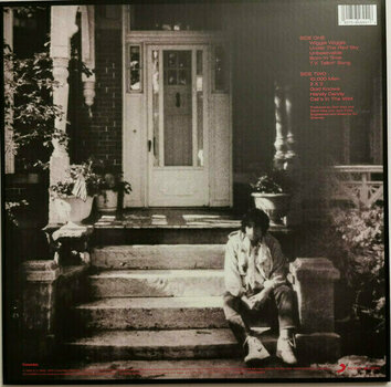 Vinyl Record Bob Dylan Under the Red Sky (LP) - 6