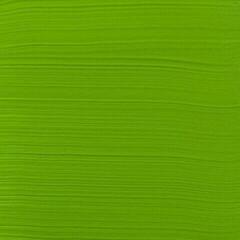 Acrylfarbe Amsterdam Standard Series Acrylfarbe Brilliant Green 120 ml 1 stk - 1