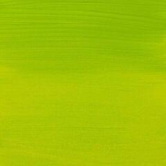 Akrylová barva Amsterdam Standard Series Akrylová barva Yellowish Green 120 ml 1 ks - 1
