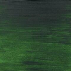 Akrylová barva Amsterdam Standard Series Akrylová barva Sap Green 120 ml 1 ks - 1