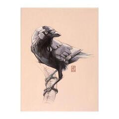 Акрилна боя Amsterdam General Selection Комплект акрилни бои Greys 12 x 20 ml - 4