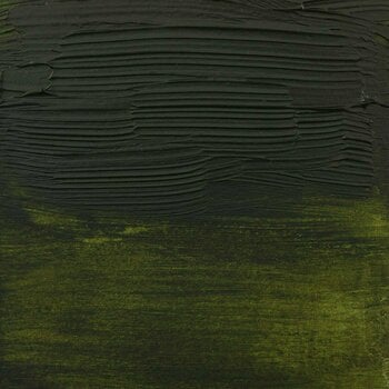 Peinture acrylique Amsterdam Expert Series Peinture acrylique Olive Green 75 ml 1 pc - 2