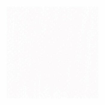 Pastel sec Rembrandt 31991005 Pastel sec White 5 1 pc - 2