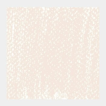 Pastel sec Rembrandt 31993399 Pastel sec Light Oxide Red 9 1 pc - 2