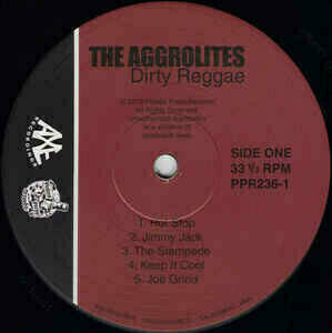 Disque vinyle The Aggrolites - Dirty Reggae (Reissue) (LP) - 2