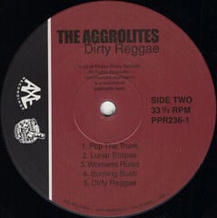 Disc de vinil The Aggrolites - Dirty Reggae (Reissue) (LP) - 3