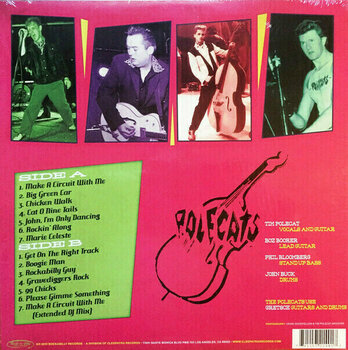 Vinyl Record The Polecats - The Very Best Of (LP) - 2