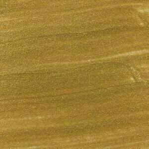 Glass Paint Talens Art Creation Metallic Glass Paint Light Gold 30 ml 1 pc - 2