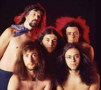 Vinyl Record Deep Purple - Fireball (2018 Remastered) (LP) - 2