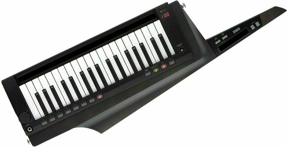 Synthesizer Korg RK-100S2 Black - 9