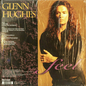 Vinyl Record Glenn Hughes - Feel (2 LP) - 2