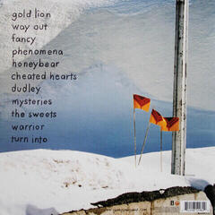 Disc de vinil Yeah Yeah Yeahs - Show Your Bone (LP) - 2