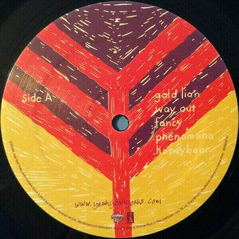 Disque vinyle Yeah Yeah Yeahs - Show Your Bone (LP) - 4