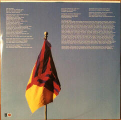 Disc de vinil Yeah Yeah Yeahs - Show Your Bone (LP) - 5