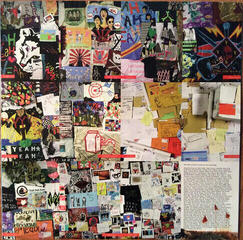 Disc de vinil Yeah Yeah Yeahs - Show Your Bone (LP) - 6