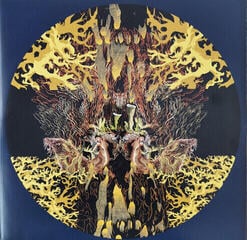 Disco de vinil Elder - Lore (2 LP) - 4