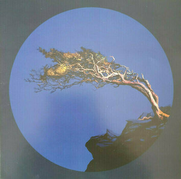 Disc de vinil Elder - Lore (2 LP) - 11