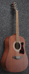 Guitare acoustique Ibanez V54NJP Pack Open Pore Natural Guitare acoustique - 3