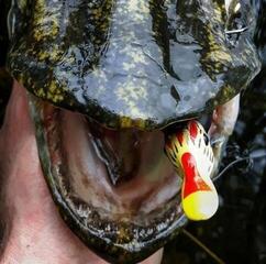 Fishing Lure Savage Gear 3D Suicide Duck Ugly Duckling 15 cm 70 g Fishing Lure - 4