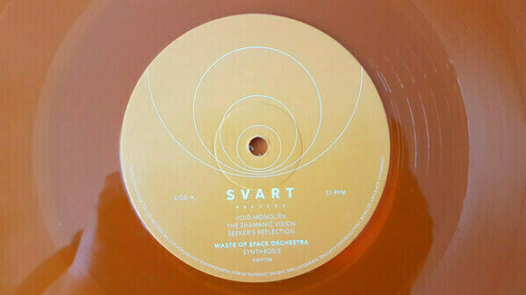 Disco de vinilo Waste Of Space Orchestra - Syntheosis (Orange Vinyl) (2 LP) - 2