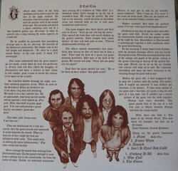 LP ploča Gentle Giant - Gentle Giant (LP) (180g) - 5