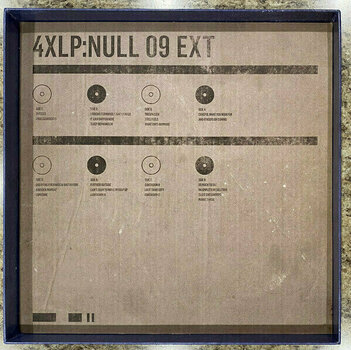 Vinylplade Trent Reznor & Atticus Ross - Bird Box (4 LP Box Set) (180g) - 3