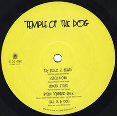 Schallplatte Temple Of The Dog - Temple Of The Dog (LP) - 1