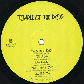 Vinylplade Temple Of The Dog - Temple Of The Dog (LP) - 2