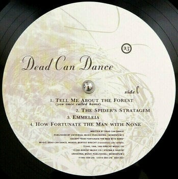 LP Dead Can Dance - Into The Labyrinth (2 LP) - 7