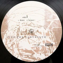 Vinyl Record Dead Can Dance - Into The Labyrinth (2 LP) - 7