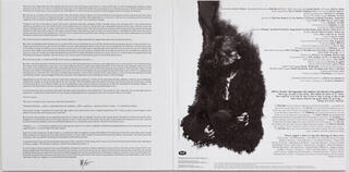 Disco in vinile Melody Gardot - Currency Of Man (Gatefold) (2 LP) - 1