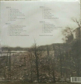 Vinyl Record Alan Jackson - Precious Memories Collection (2 LP) - 2