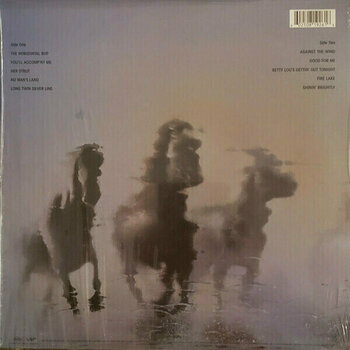 LP Bob Seger - Against The Wind (LP) (150g) - 2