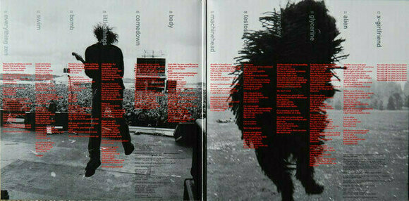 LP platňa Bush - Sixteen Stone (Anniversary Edition) (2 LP) LP platňa - 2