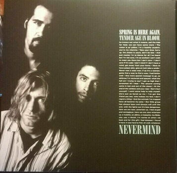 Vinyl Record Nirvana - Nevermind (Box Set) (180g) - 10