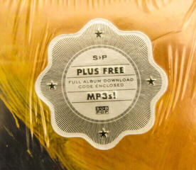 LP ploča Iron and Wine - The Shepherd's Dog (LP) - 5