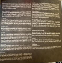 Disco in vinile Andrew Bird - My Finest Work Yet (LP) (180g) - 2