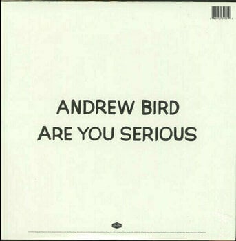 LP Andrew Bird - Are You Serious (LP) - 2