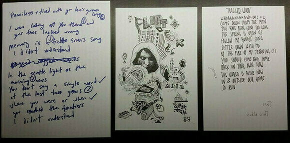 Δίσκος LP Fleet Foxes - First Collection 2006-2009 (Box Set) (Anniversary Edition) - 8