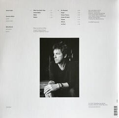 Disco de vinilo Dominic Miller - Silent Light (LP) (180g) - 1