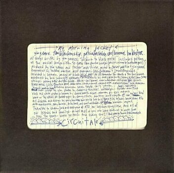 Δίσκος LP My Morning Jacket - Circuital (LP) (180g) - 14