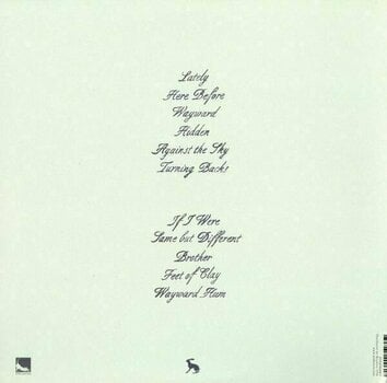 Δίσκος LP Vashti Bunyan - Lookaftering (LP) - 2